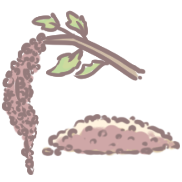 貓狗攝取蛋白質的三大憂慮_2