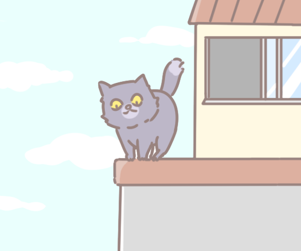 如何預防貓咪高層綜合症_2 如何預防貓咪高層綜合症_2