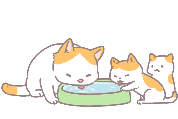 貓咪的飲食哲學_2