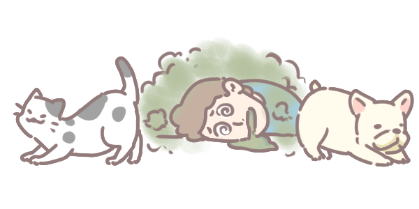 飲食法改善貓狗放臭屁_2