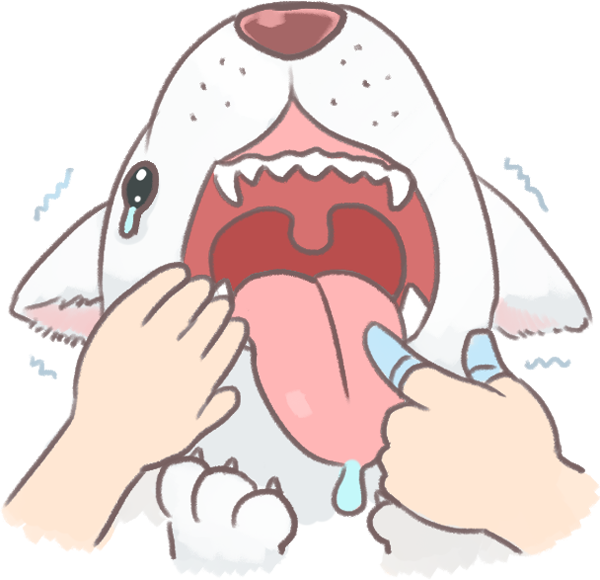 從狗牙齦顏色看健康_1