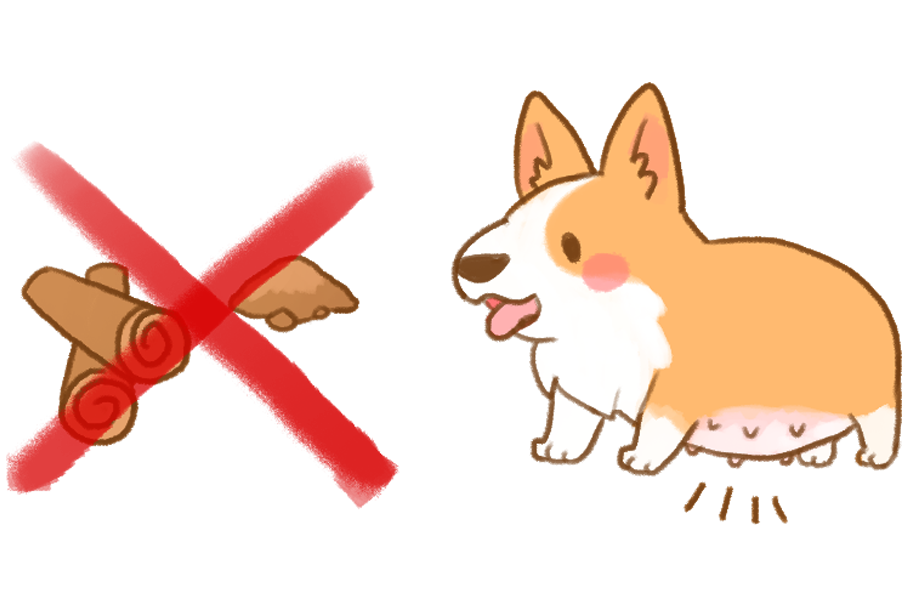 狗也可以吃肉桂_1 狗也可以吃肉桂_1