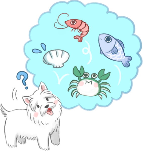 狗也吃海鮮_4