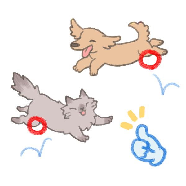 綠唇貝幫助關節保養