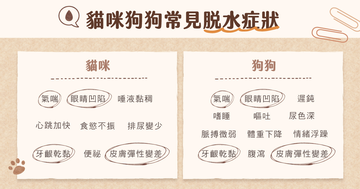 貓狗脫水症狀有哪些?