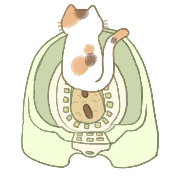 貓砂盆種類_3 貓砂盆種類_3