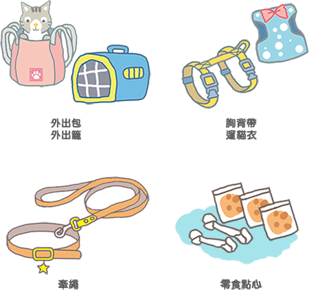 遛貓三步驟_1 遛貓三步驟_1