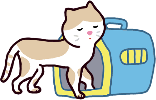 遛貓三步驟_2 遛貓三步驟_2