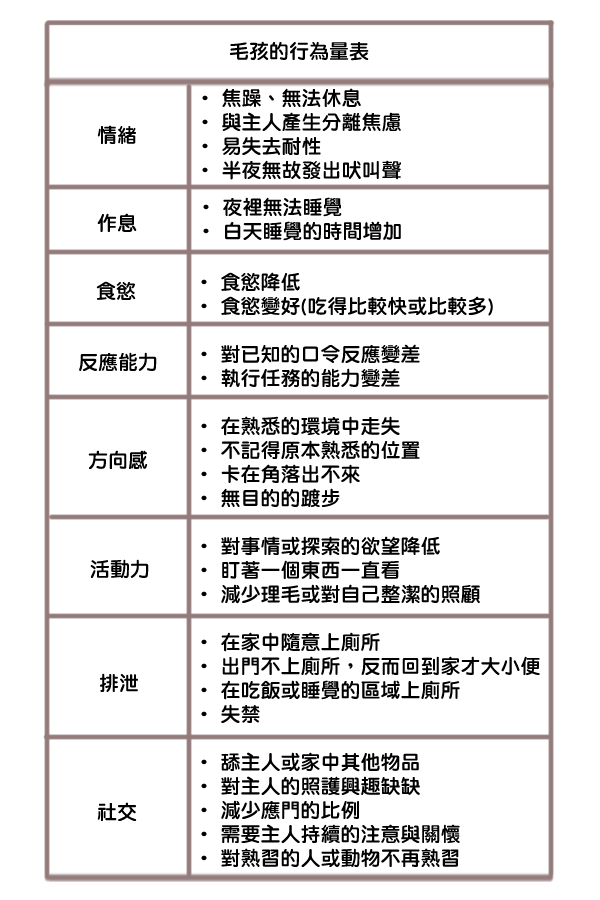 寵物老年失智危機的徵兆 Sofydog寵物精品
