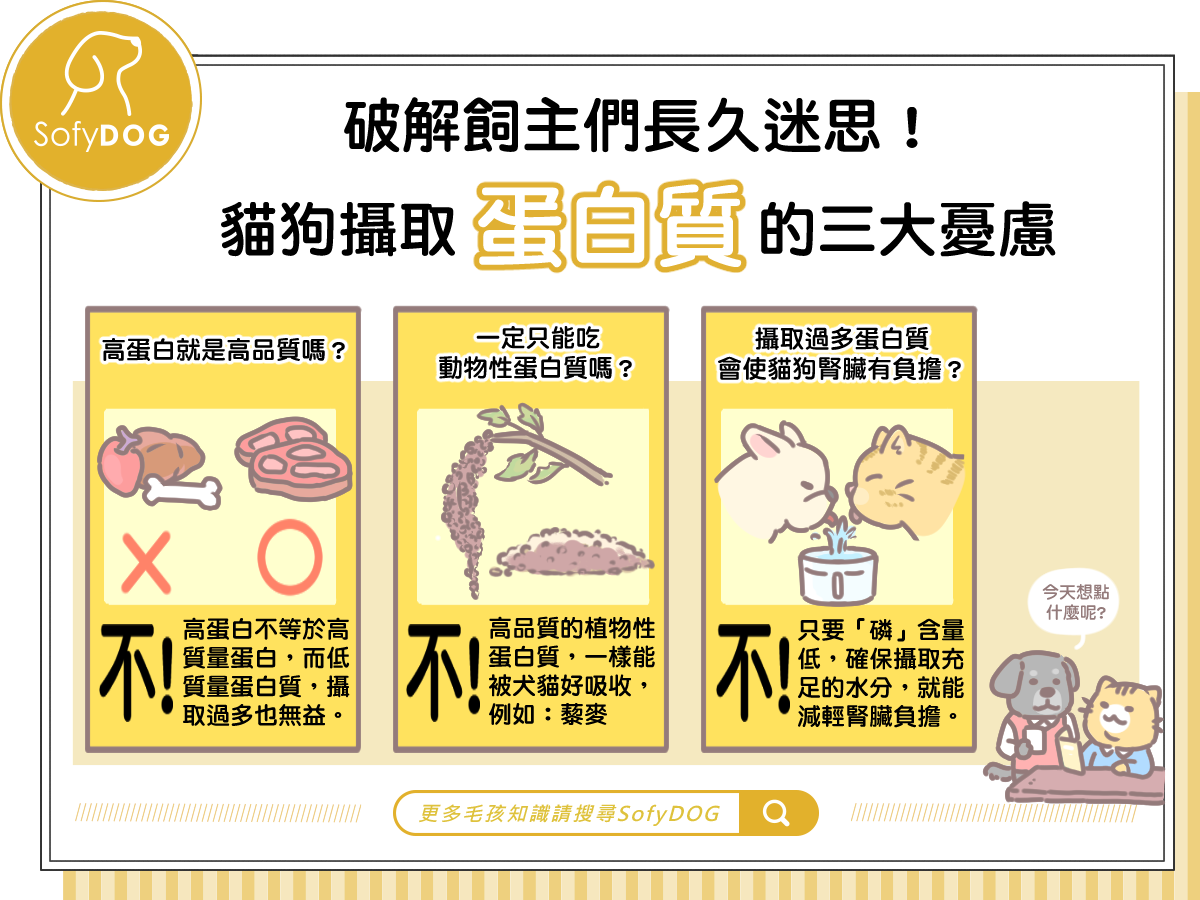 貓狗攝取蛋白質的三大憂慮 Sofydog寵物精品