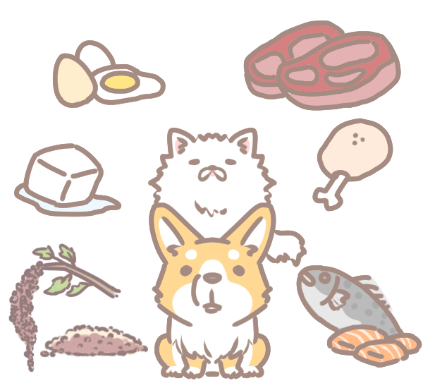 貓狗攝取蛋白質的三大憂慮 Sofydog寵物精品