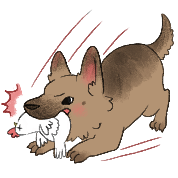 為什麼狗狗總是咬著玩具大甩頭 Sofydog寵物精品